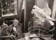 Henri Matisse